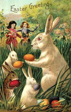 3 bunnies hiding eggs in tall grass